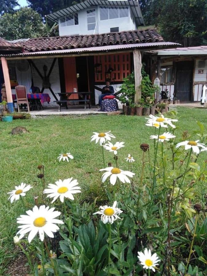 Tarragona Hostal Санта-Роса-де-Кабаль Екстер'єр фото